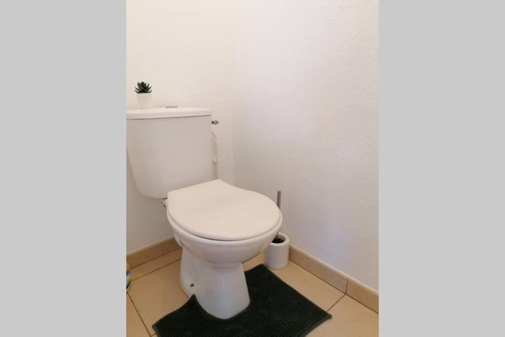 T2 Entier - Hyper Centre - Cosy Home Grenade-sur-Garonne Exterior foto